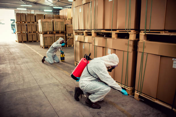 Best Local Pest Control Services  in Amory, MS