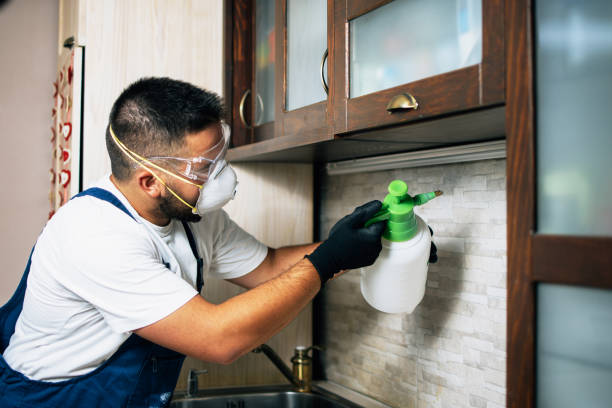 Best Affordable Pest Control Services  in Amory, MS