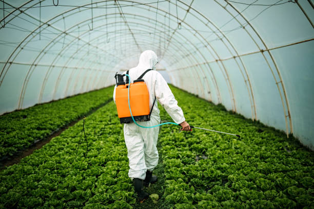 Pest Prevention Services in Amory, MS